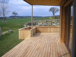 LAMES TERR ACACIA ROBINIER ABOUTE 23X80 BOMBE FIXATION CLIPS Lg 4.00ml ABOUTAGE TOUS LES 200 A 800 MM